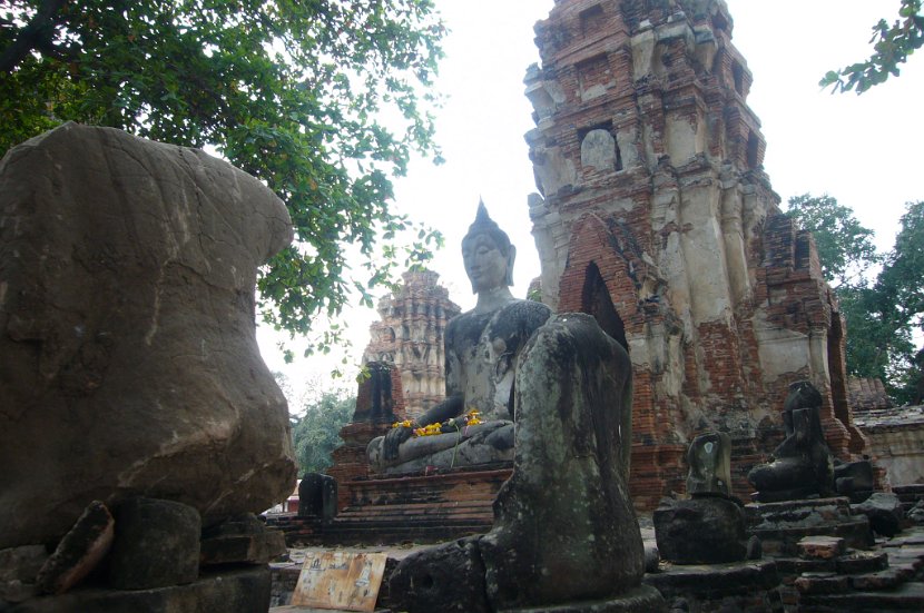 P1010596