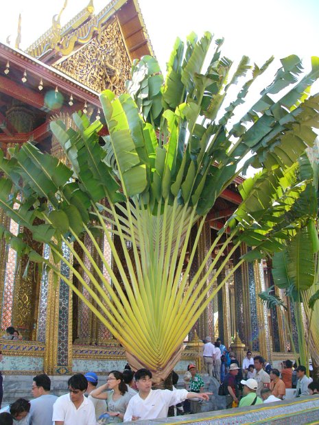 P1020960
