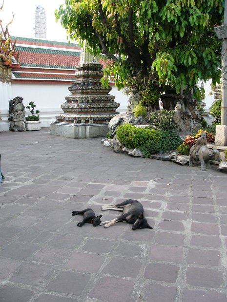P1050378